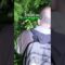 [ID: 0c55dDl9bw8] Youtube Automatic