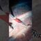 [ID: 4QRDHUaaGzc] Youtube Automatic