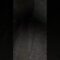 [ID: 6MpdyWDVTsw] Youtube Automatic