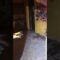 [ID: 9WxTvcRdbfY] Youtube Automatic