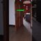 [ID: Bq14Eb0iZm8] Youtube Automatic
