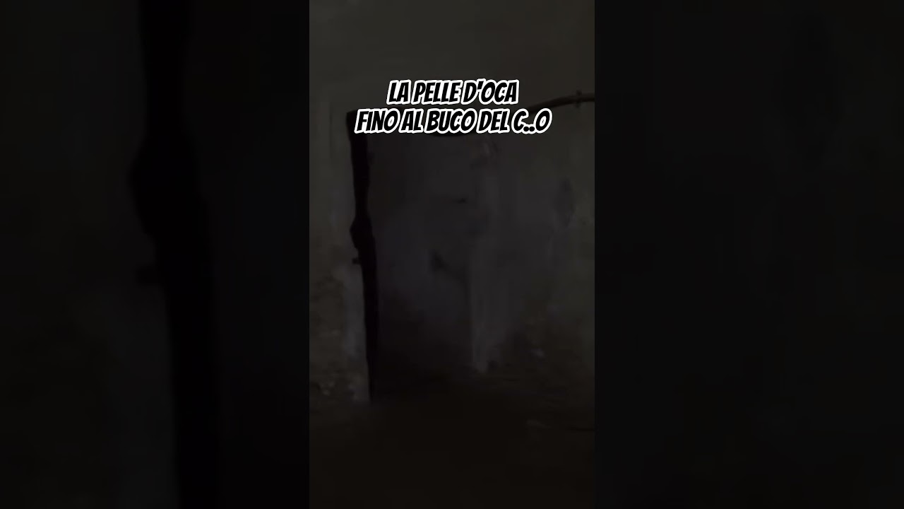 [ID: BXv7QbeOfPo] Youtube Automatic