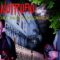 [ID: DH_87OZaAZo] Youtube Automatic