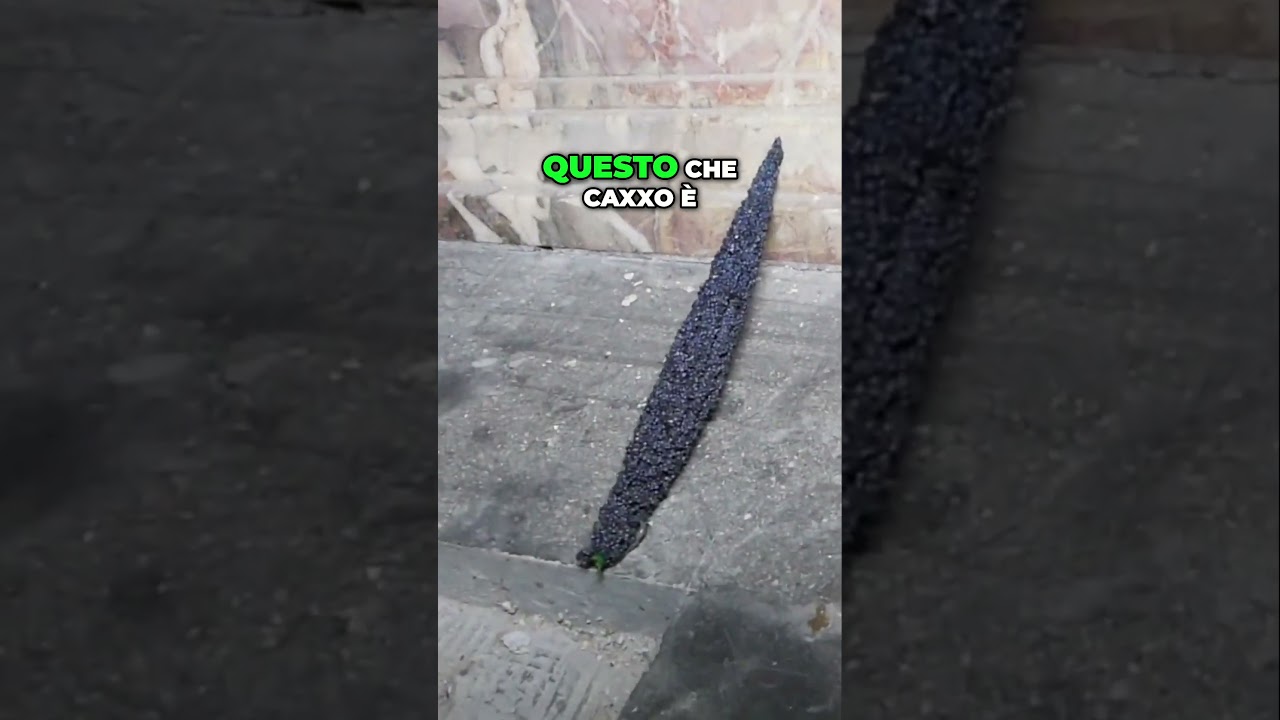 Preload Image