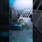 [ID: ewk8cJDTlnY] Youtube Automatic