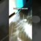 [ID: F8o_1b1ue4Y] Youtube Automatic