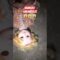 [ID: fgmPEqR8aD4] Youtube Automatic