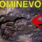 [ID: _Fn7CWOSyug] Youtube Automatic