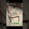 [ID: jDodtFFDXdc] Youtube Automatic