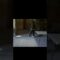 [ID: l5sMt9x1ZRo] Youtube Automatic