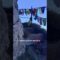 [ID: lbfSRXHEXKI] Youtube Automatic