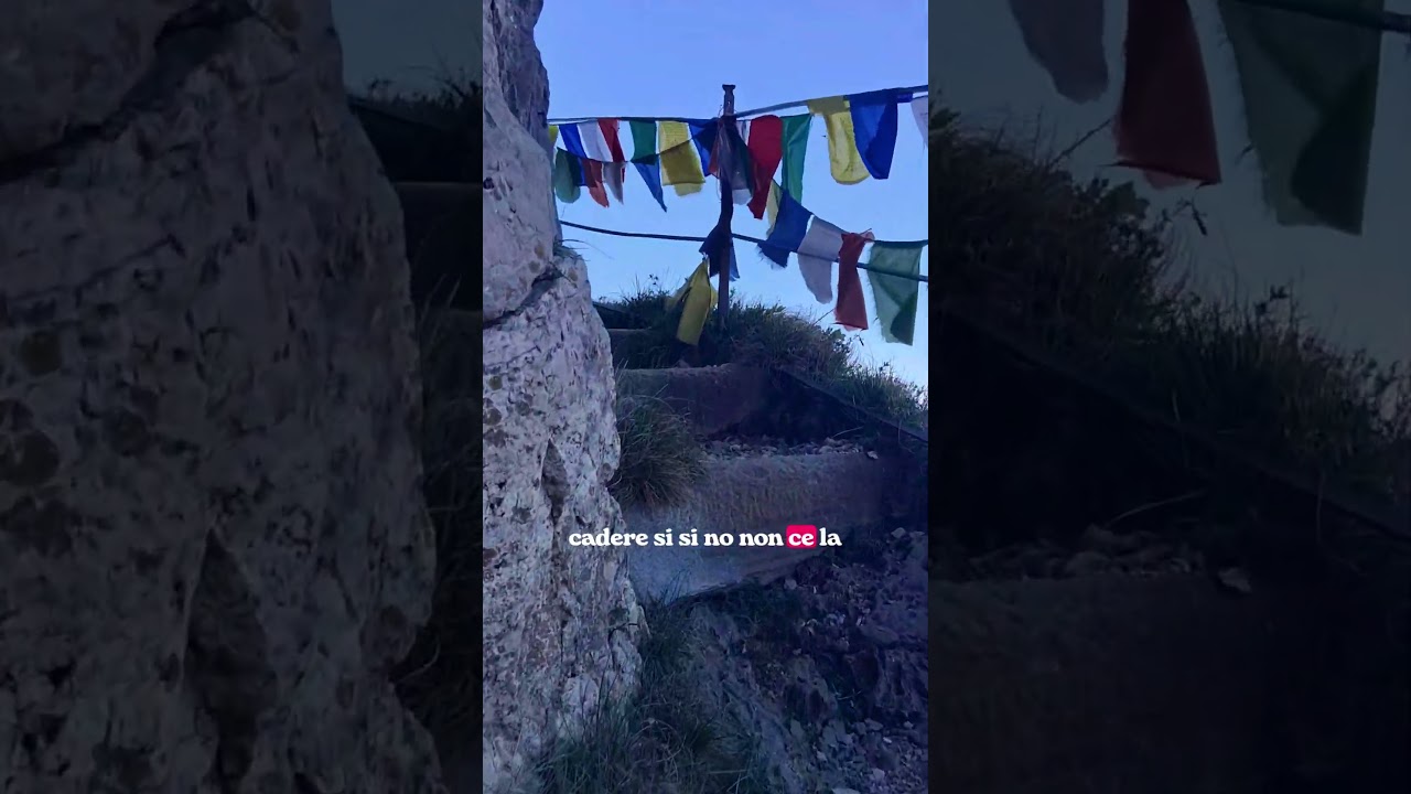 [ID: lbfSRXHEXKI] Youtube Automatic