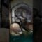 [ID: neNPF_aRj4U] Youtube Automatic