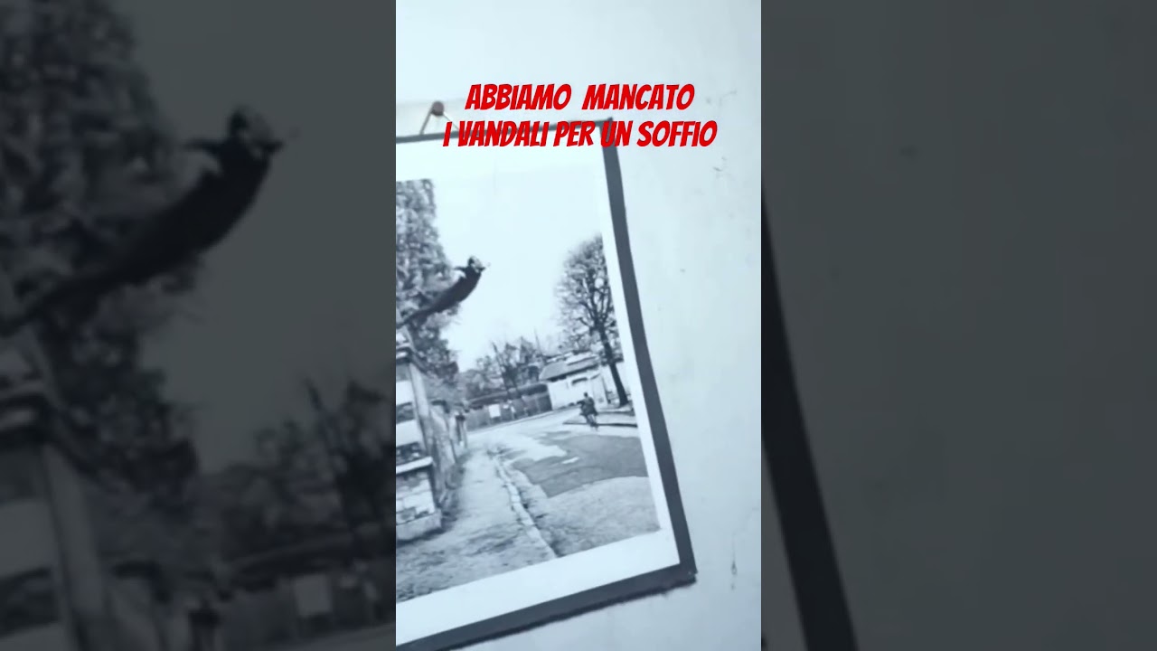 [ID: okAWcWrNZEM] Youtube Automatic