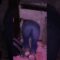[ID: puBM2Ke46_s] Youtube Automatic