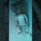 [ID: sFgIawsqcBo] Youtube Automatic