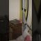 [ID: trjh2QilSDQ] Youtube Automatic