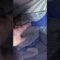 [ID: vyfp4AqBD6U] Youtube Automatic