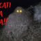 [ID: WPuwEF8OBJA] Youtube Automatic