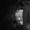 [ID: x-KwW5gpLyQ] Youtube Automatic