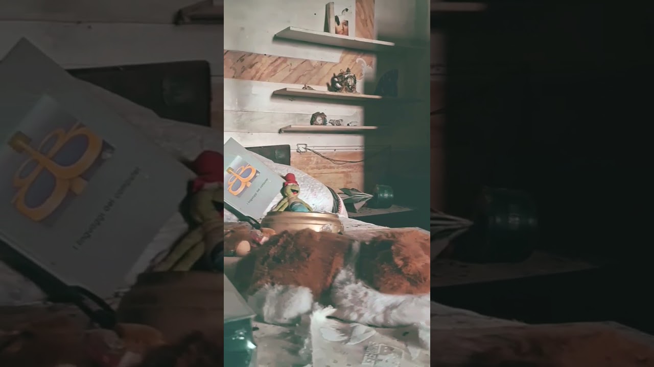 [ID: xCVLb4Dulfk] Youtube Automatic