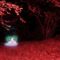 [ID: yU6i–4F3Q0] Youtube Automatic