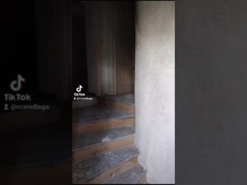 [ID: zPQo6e_ith0] Youtube Automatic